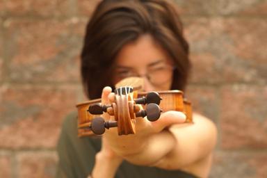 Privater Geigenunterricht - Private Violin lessons course image