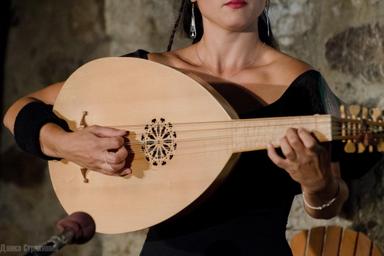 Privater Lautenunterricht - Private Lute lessons course image