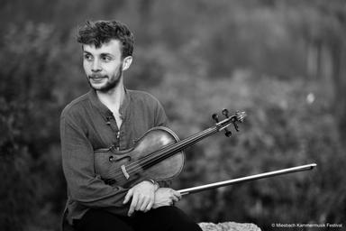 Viola lessons, intermediate-advanced (in English/German/Russian) course image