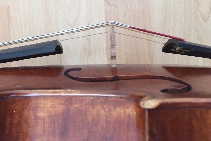 Private Violin lessons - Privater Geigenunterricht course image