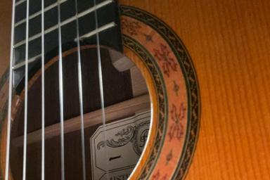 HAUSBESUCH - Gitarre für Kinder ab 4 Jahre course image