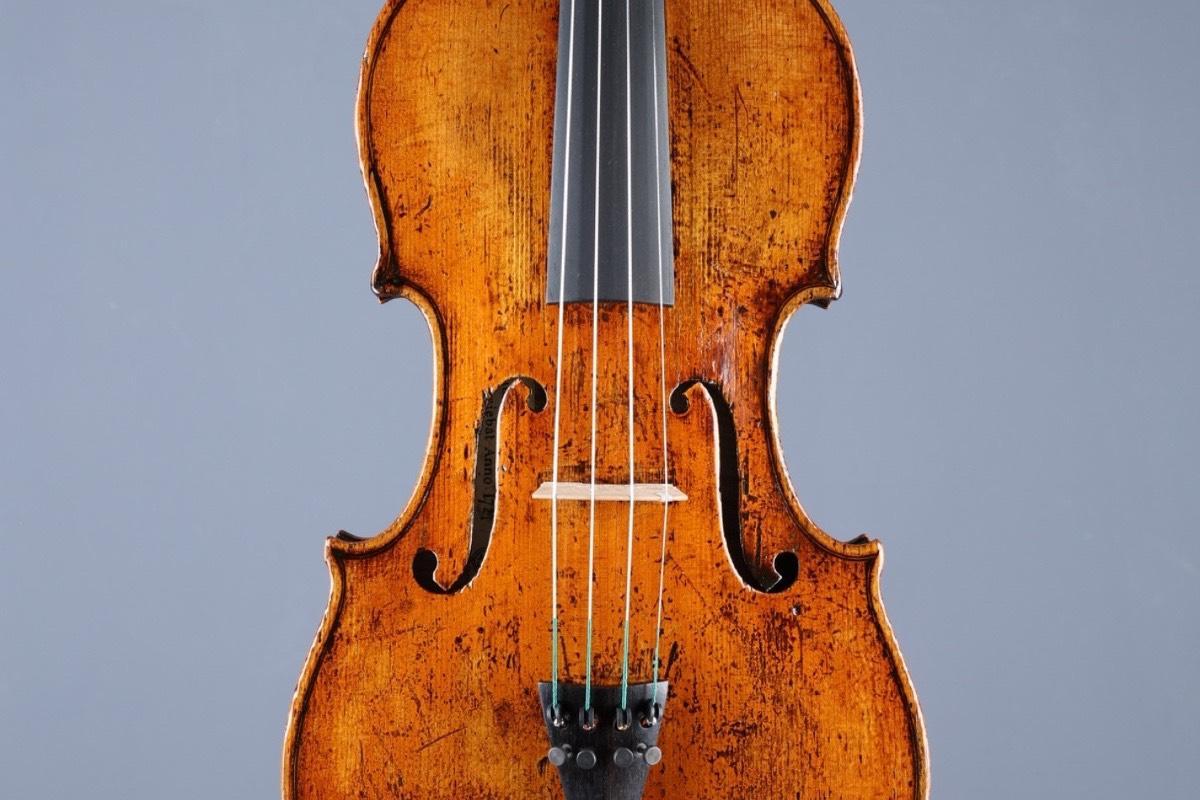 Privater Geigenunterricht - Private Violin lessons course image