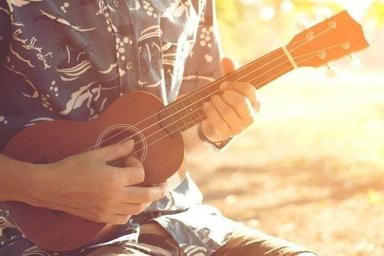 Privater Ukulelenunterricht - Private Ukulele lessons course image