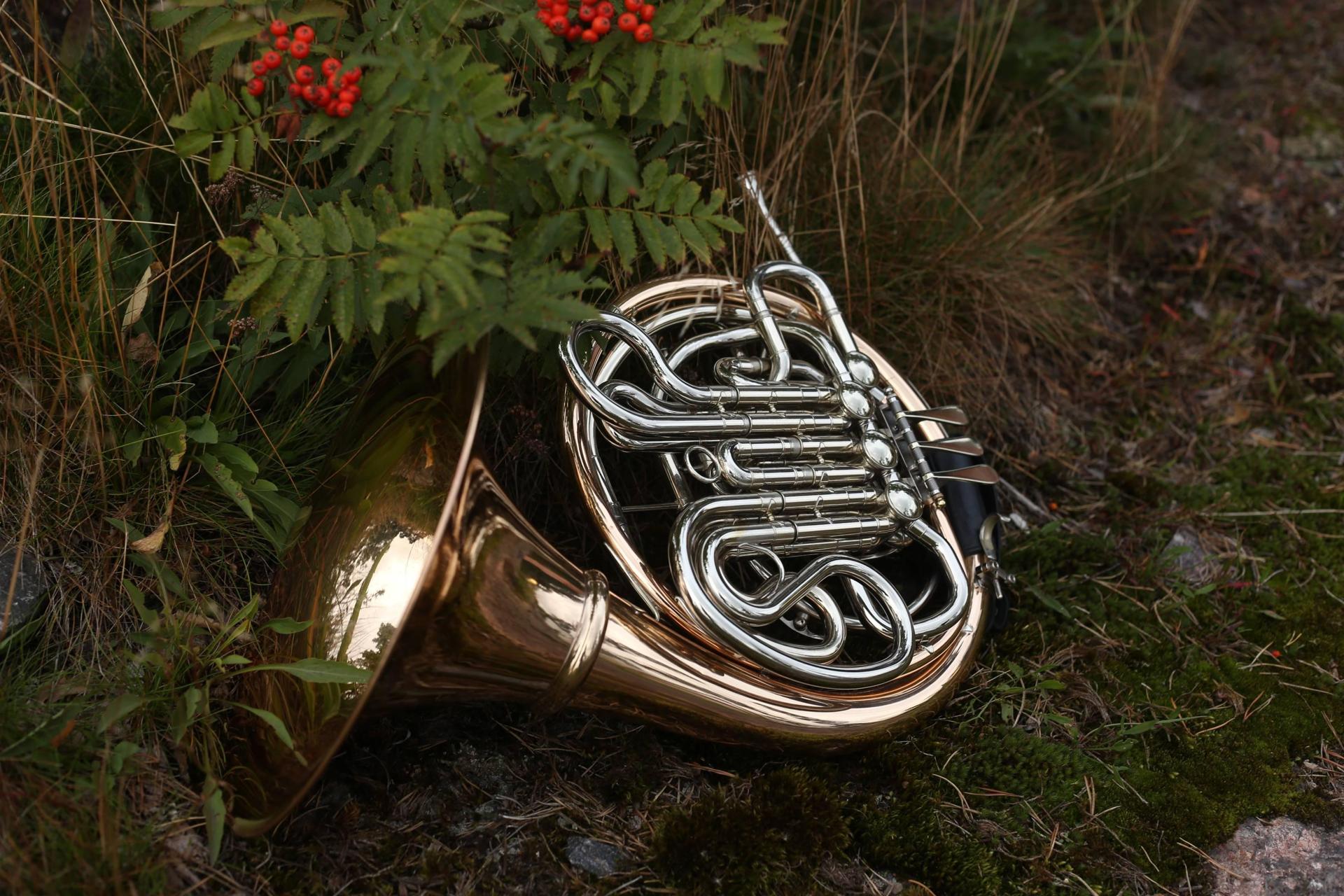 Privater Hornunterricht - Private Horn lessons course image