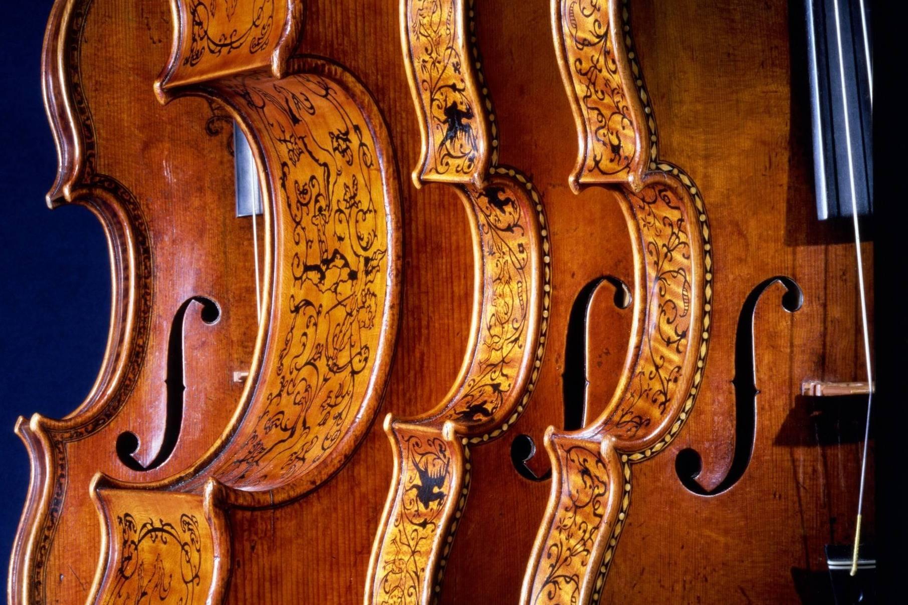 Professioneller Geigenunterricht - Cours de Violon - Violin Lessons course image