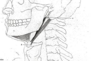 Gesangsunterricht "Lichtenberger Methode" nach G. Rohmert  course image