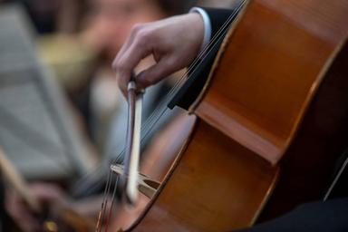 Cello für Alle! course image