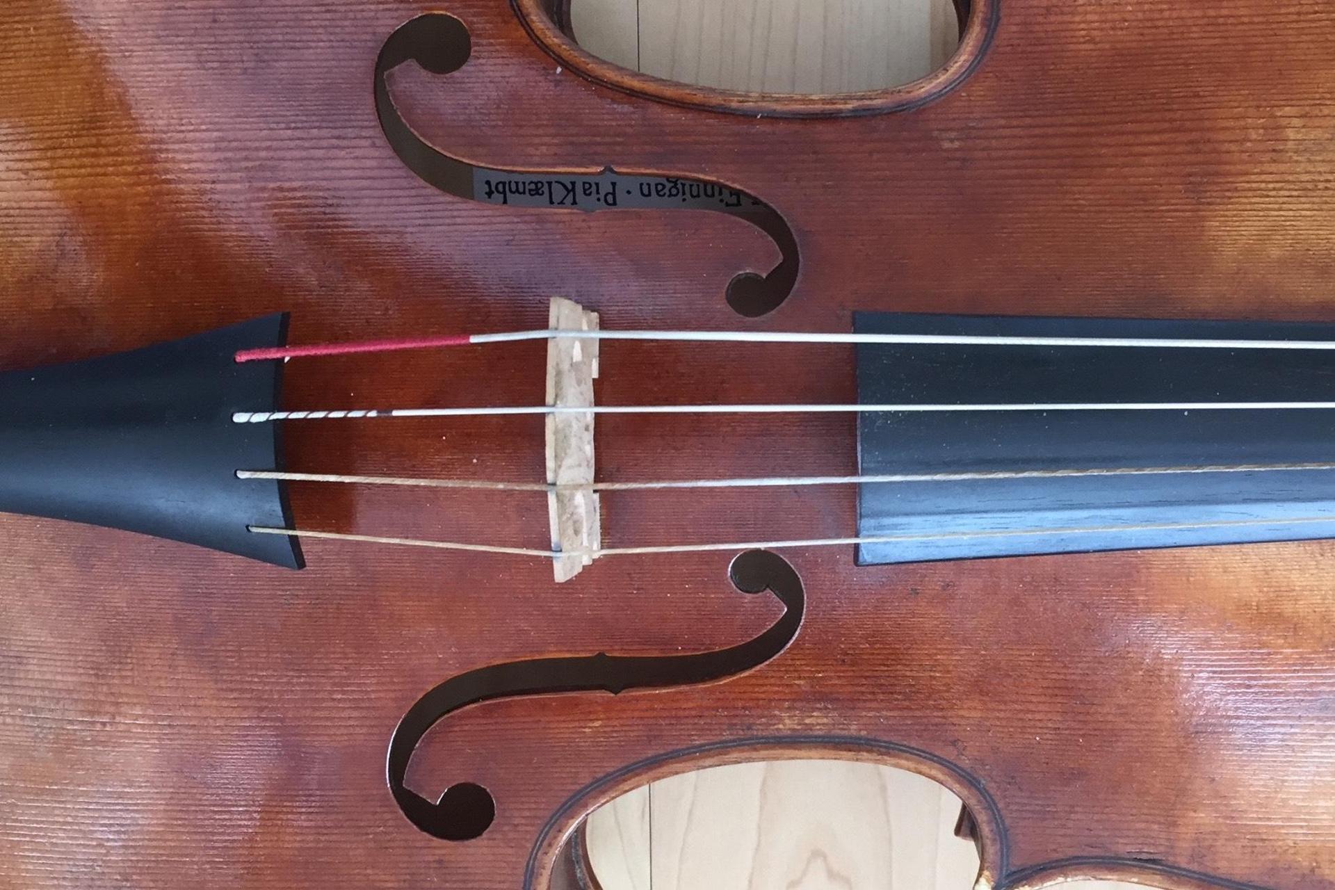 Private Viola/Baroque Viola lessons - Privater Bratschenunterricht course image