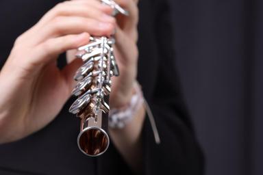 Privater Querflötenunterricht - Private Flute lessons course image