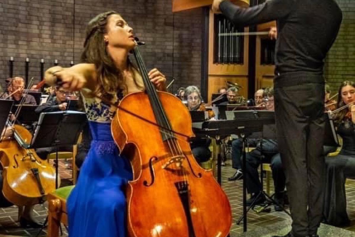 Privater Cellounterricht - Private Cello lessons course image