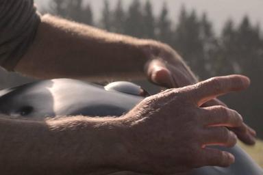 Handpan  course image