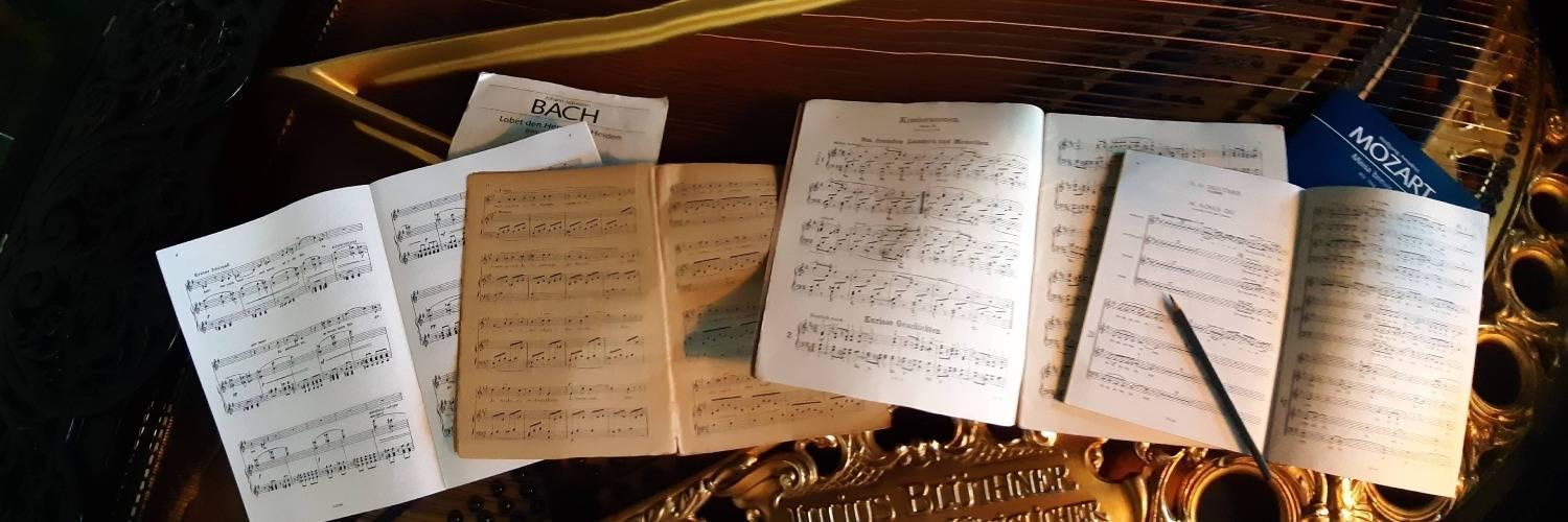 Franziska Lieder - Cover