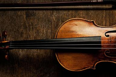 Viola lessons from Maria! course image