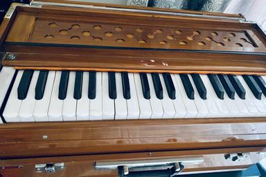 Privater Harmoniumunterricht - Private Harmonium lessons course image