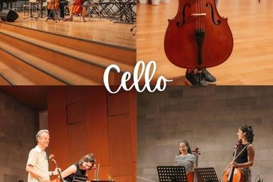 Musizieren mit dem Cello course image