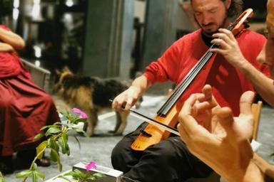 Cello, aus dir heraus  course image