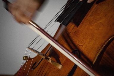 Privater Cellounterricht - Private Cello lessons course image