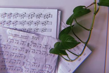 Theorie Vorbereitung (ZHdK & Musikhochschulen) course image