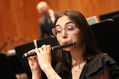 Privater Piccolounterricht - Private Piccolo lessons course image