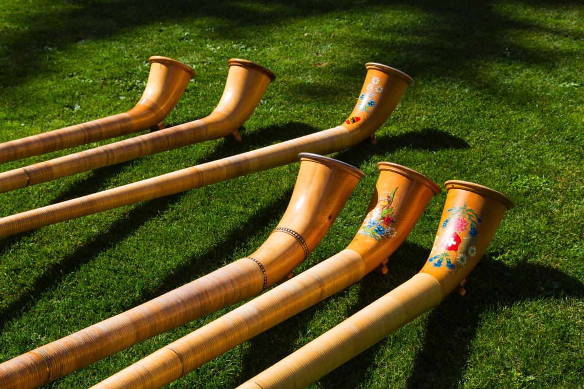 Cours individuels de cor des Alpes - Private Alphorn lessons - Privater Alphornunterricht  course image