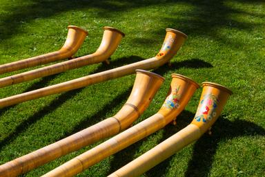 Alphorn Unterricht in Zürich course image