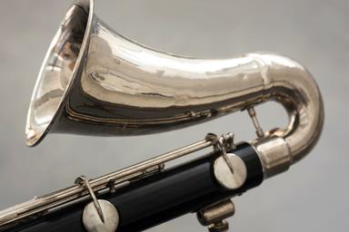 Privater Bassetthornunterricht - Private Basset Horn lessons course image