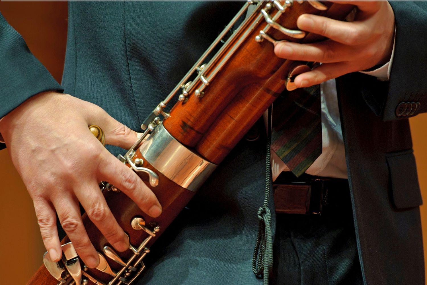 Privater Fagottunterricht - Private Bassoon lessons course image