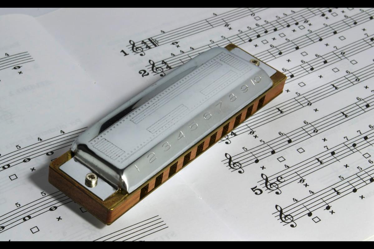 Privater Blues Harp Mundharmonikaunterricht - Private Bluesharp lessons course image
