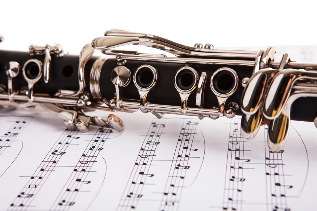 Privater Klarinettenunterricht - Private Clarinet lessons course image