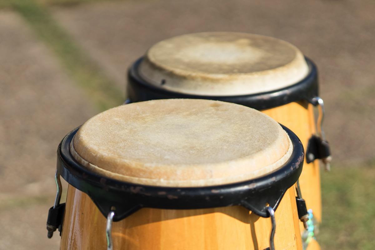 Privater Congaunterricht - Private Conga lessons course image
