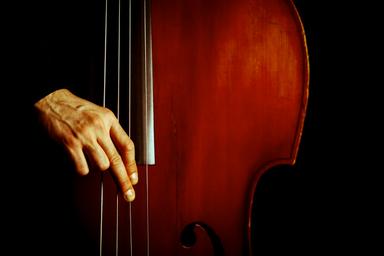 Privater Kontrabassunterricht - Private Double Bass lessons course image