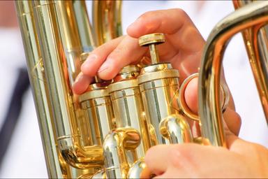 Privater Euphoniumunterricht - Private Euphonium lessons course image