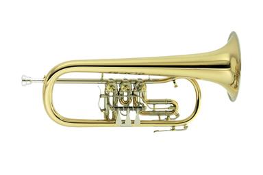 Privater Flügelhornunterricht - Private Flugelhorn lessons course image