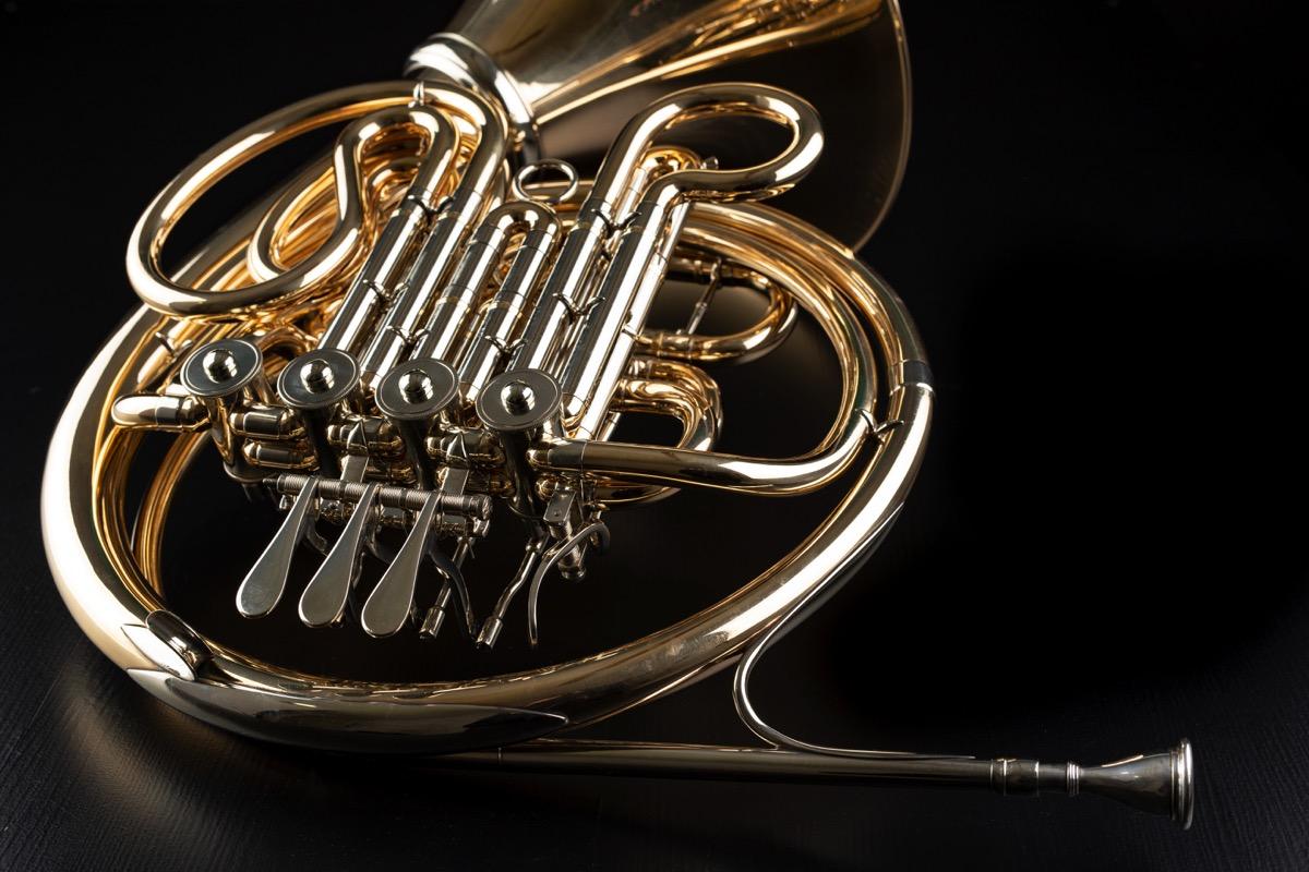  French horn and historical horn for beginner to professional musicians course image