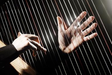 Privater Harfenunterricht - Private Harp lessons course image