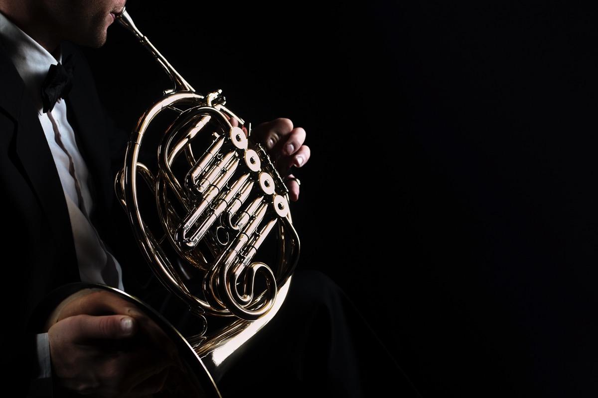 Privater Hornunterricht - Private Horn lessons course image
