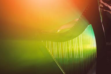 Privater Keltische Harfenunterricht - Private Irish Harp lessons course image