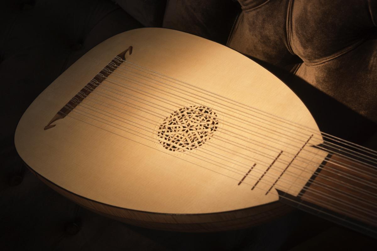 Privater Lautenunterricht - Private Lute lessons course image