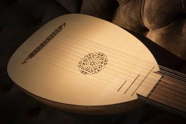 Lute classes course image