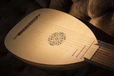 Privater Lautenunterricht - Private Lute lessons course image