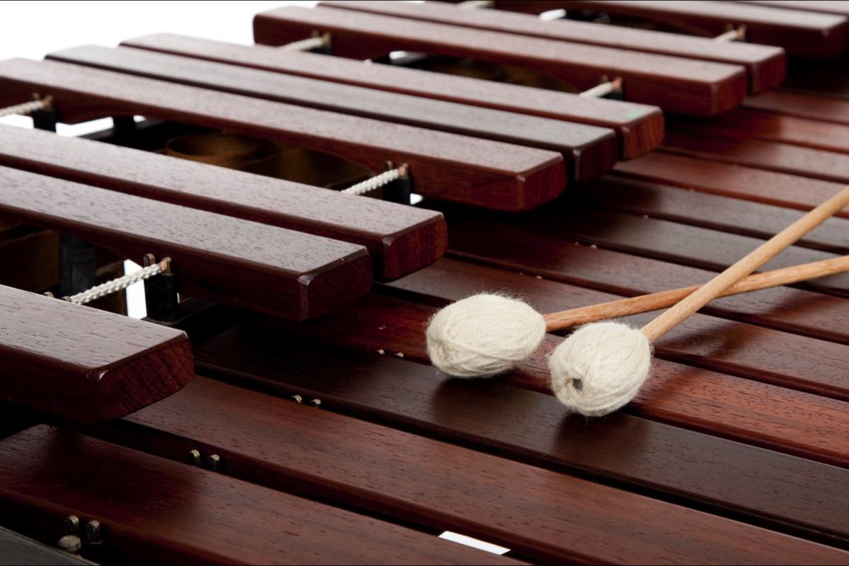 Privater Marimbaunterricht - Private Marimba lessons course image
