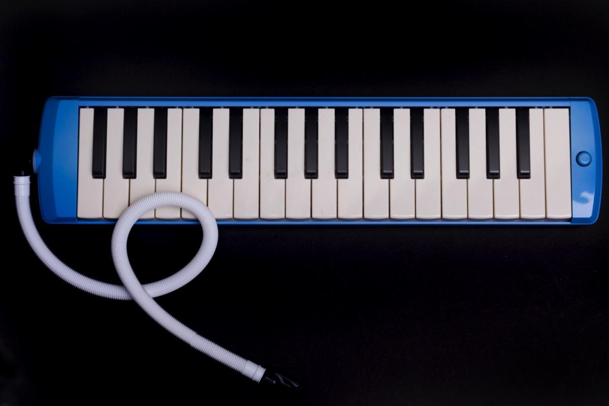 Privater Melodicaunterricht - Private Melodica lessons course image