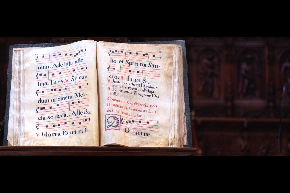 Privater Musikgeschichte Unterricht - Private Music History lessons course image