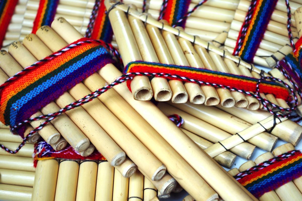 Privater Panflötenunterricht - Private Panpipe lessons course image