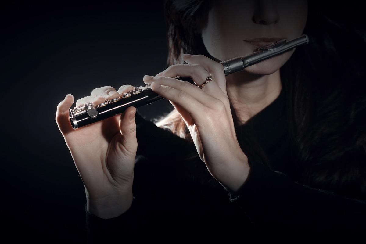 Privater Piccolounterricht - Private Piccolo lessons course image