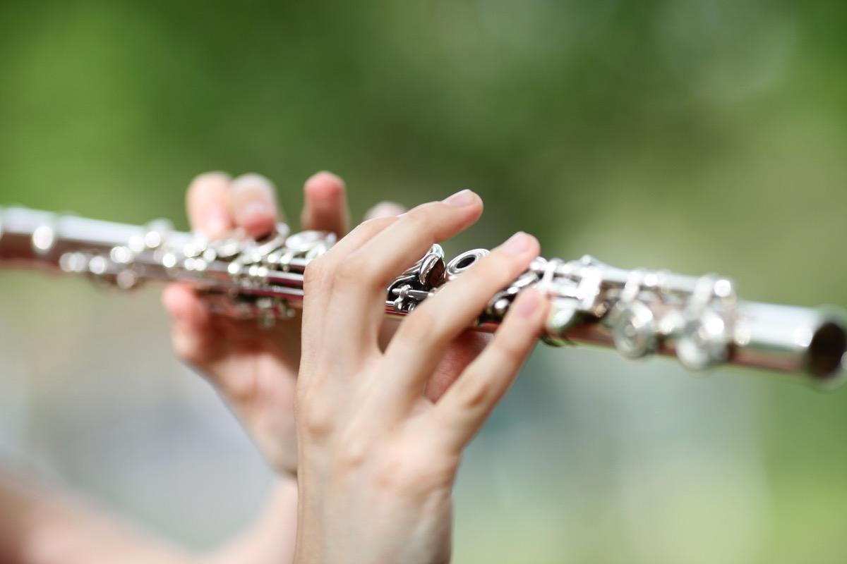 Privater Querflötenunterricht - Private Flute lessons course image