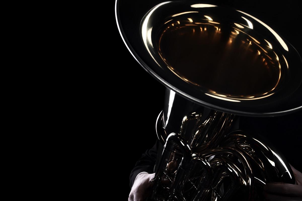 Privater Tubaunterricht - Private Tuba lessons course image