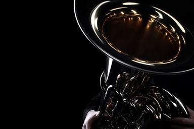 Unterricht: Tuba oder Euphonium  course image