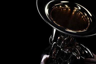 Privater Tubaunterricht - Private Tuba lessons course image