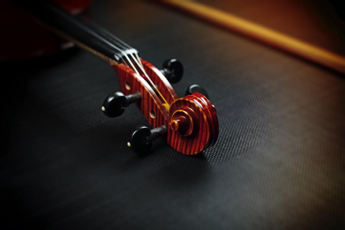 Privater Bratschenunterricht - Private Viola lessons course image